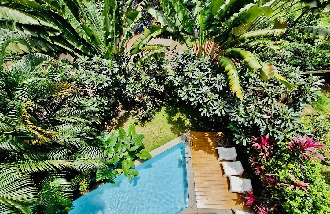 Half Hotel, Calangute-1